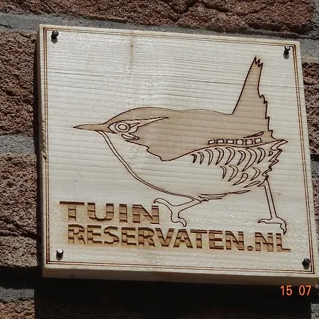Amsterzonian Amsterdam