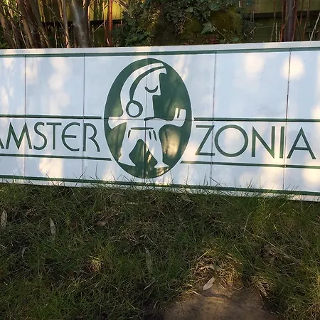 Nocleg ze śniadaniem Amsterzonian *